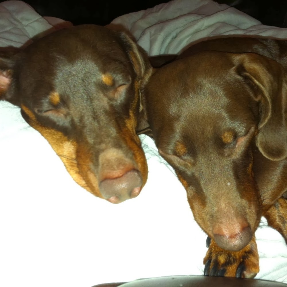 Meet your Posher, Tina